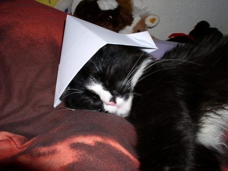 Tolle Schlafmtze was?